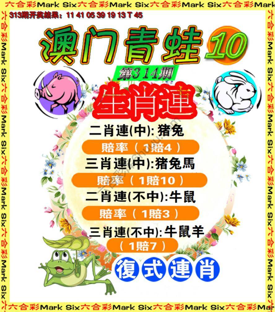 青蛙系列10