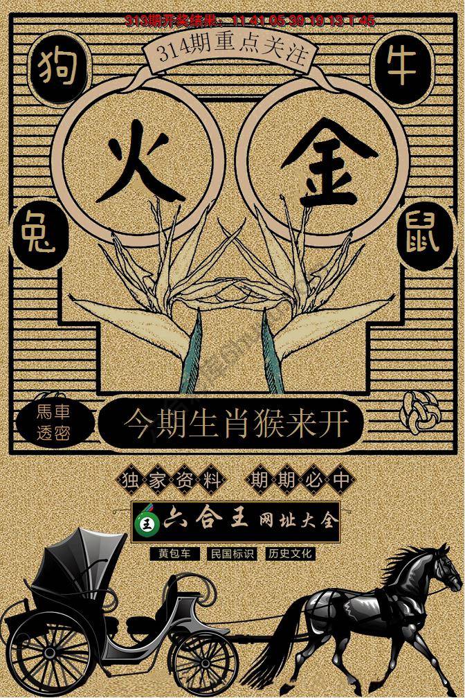 六合王马车透密