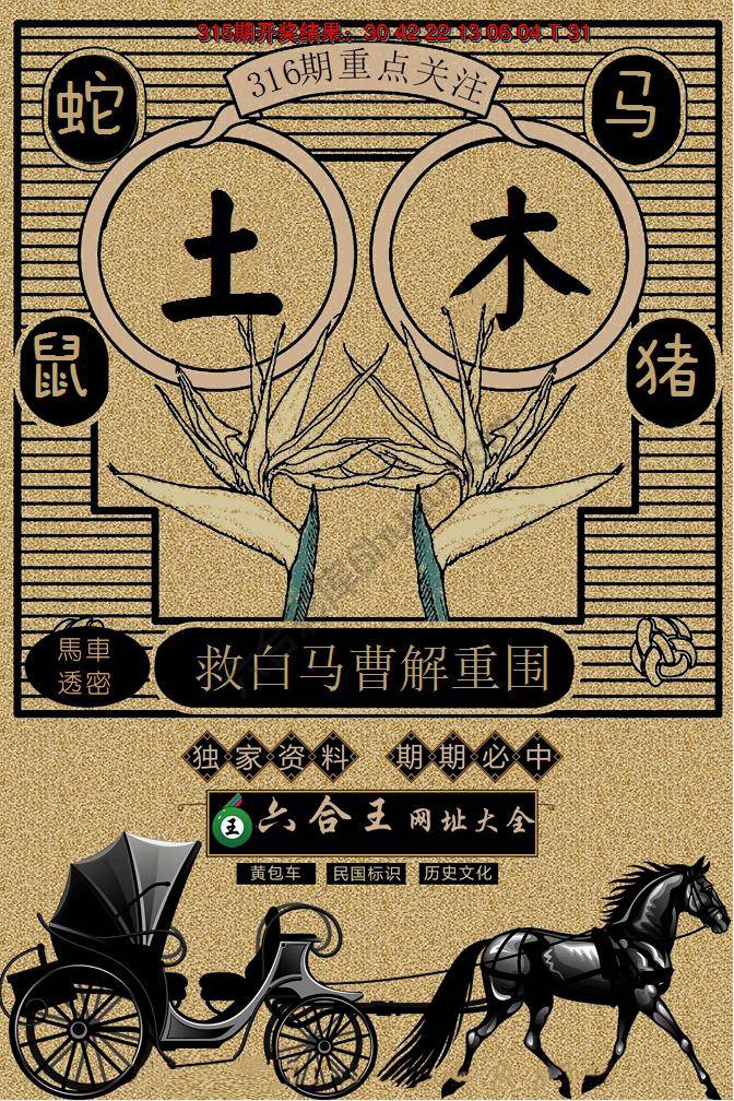 六合王马车透密