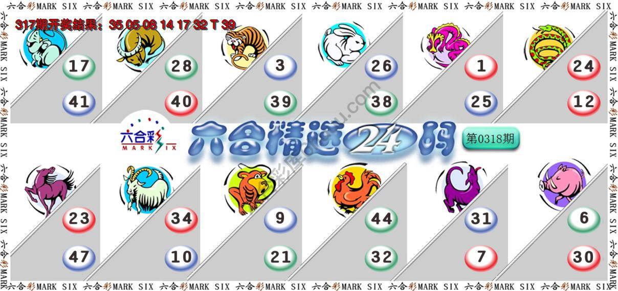 六合精选24码