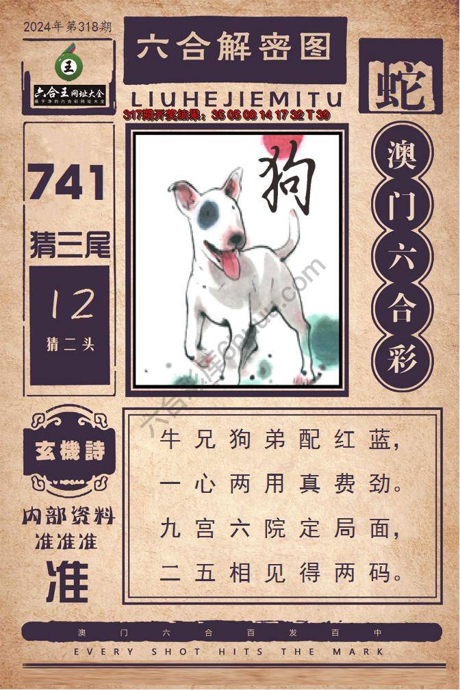 六合王六合解密