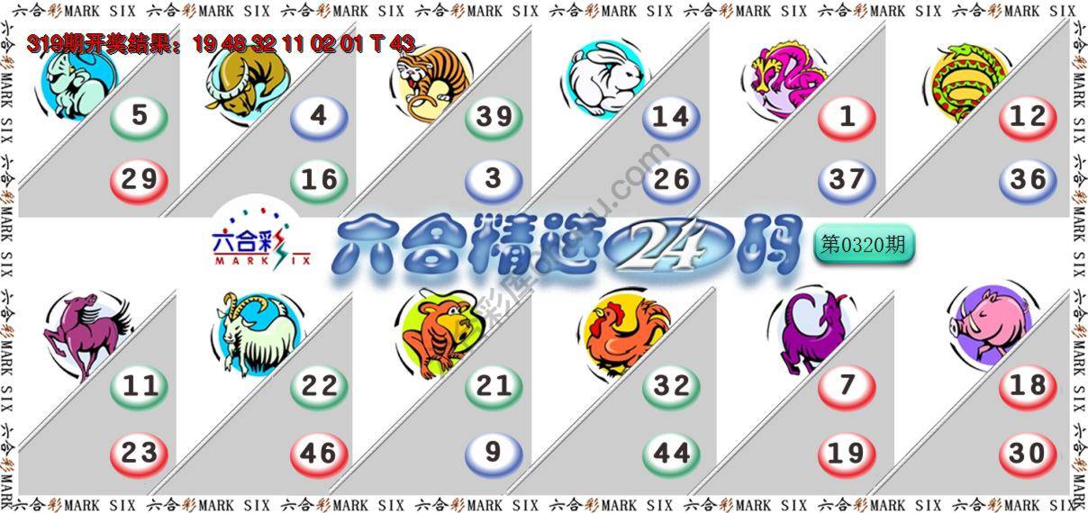 六合精选24码