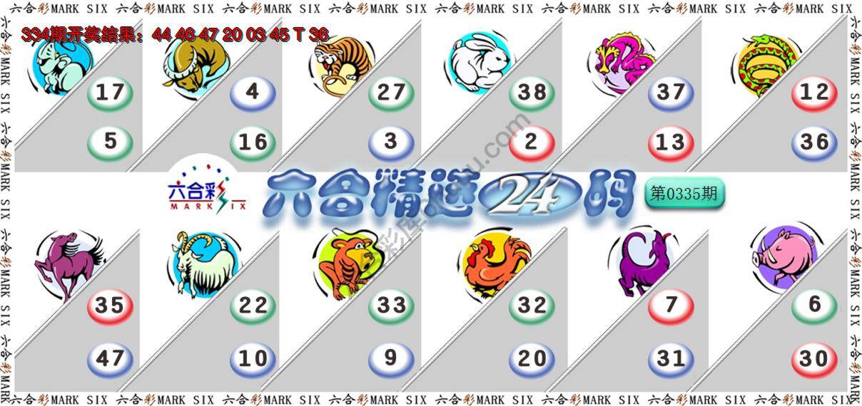 六合精选24码