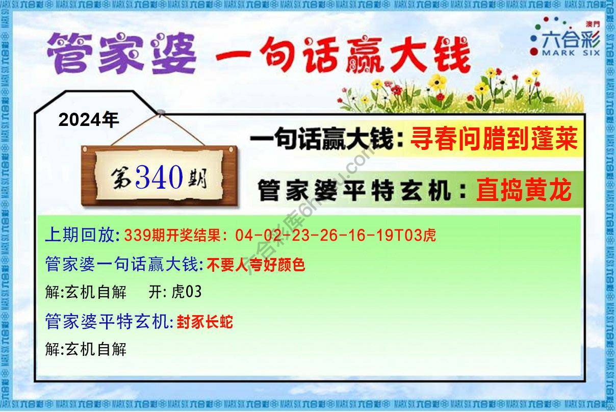 管家婆一句赢大钱