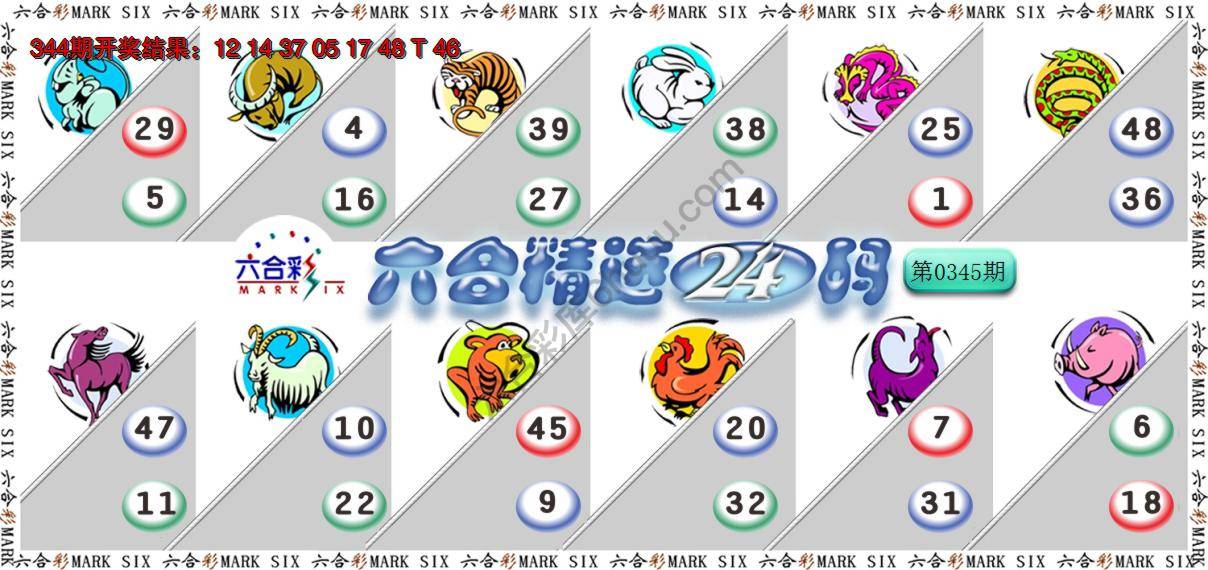 六合精选24码