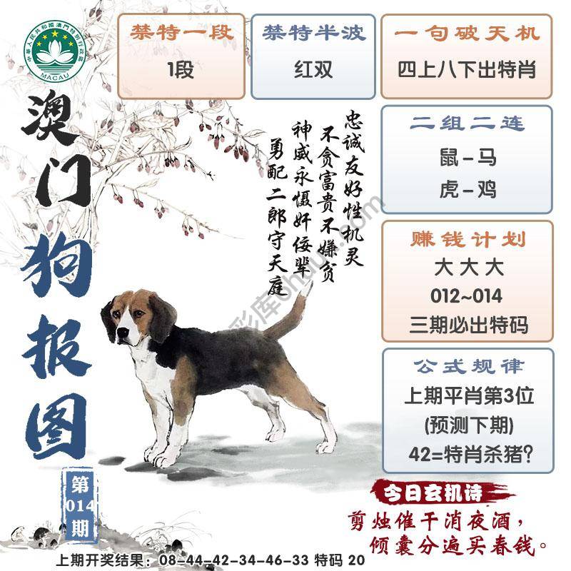 澳门狗报图