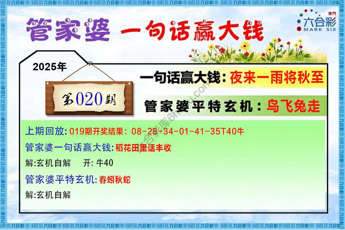 管家婆一句赢大钱