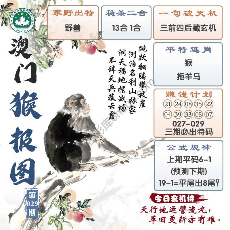 澳门猴报图