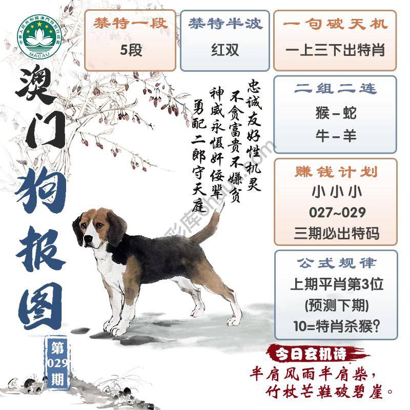 澳门狗报图
