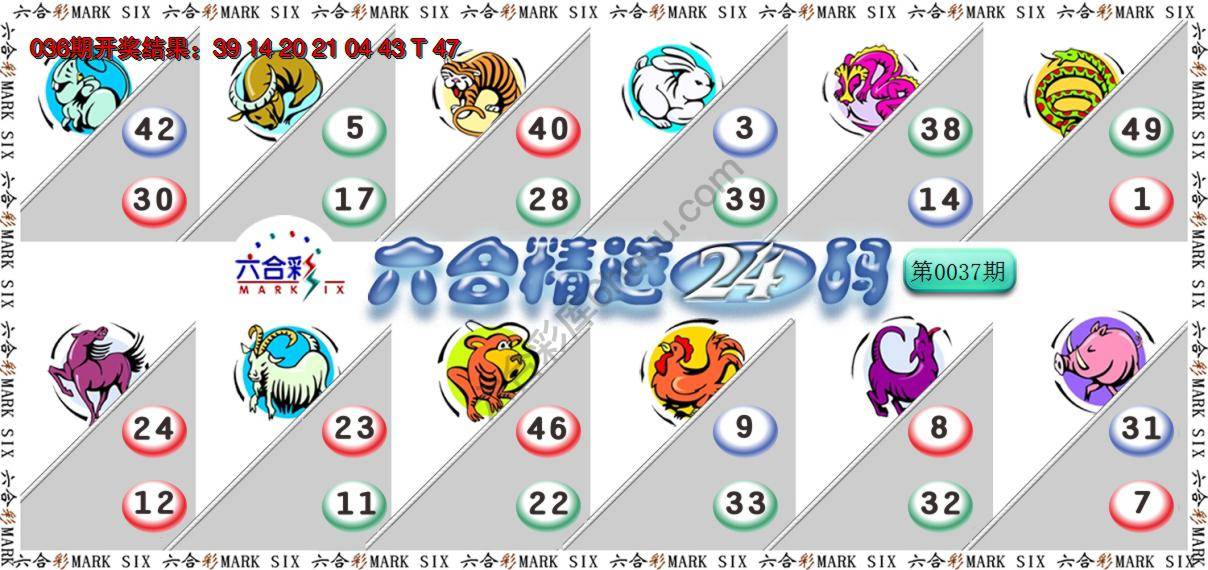 六合精选24码