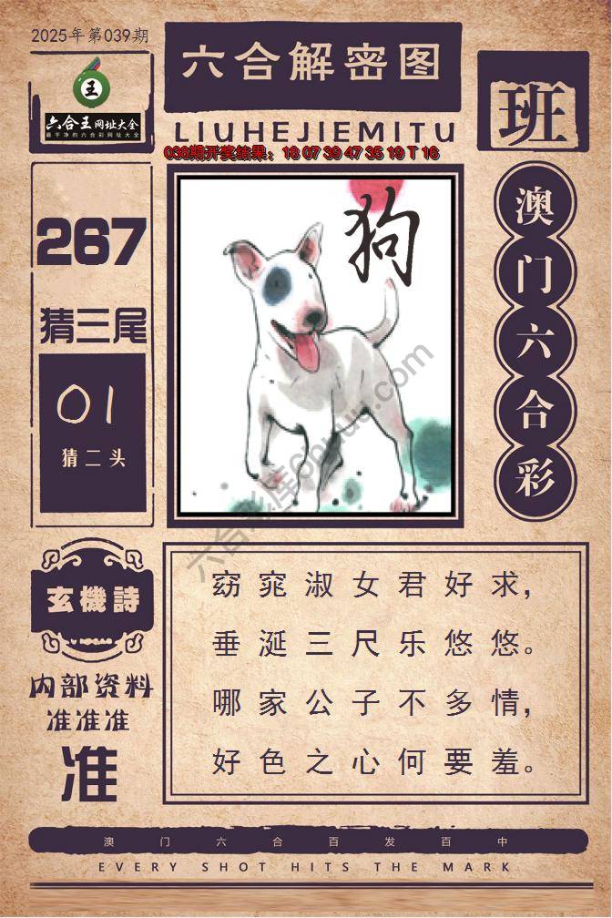 六合王六合解密