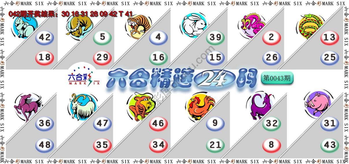 六合精选24码