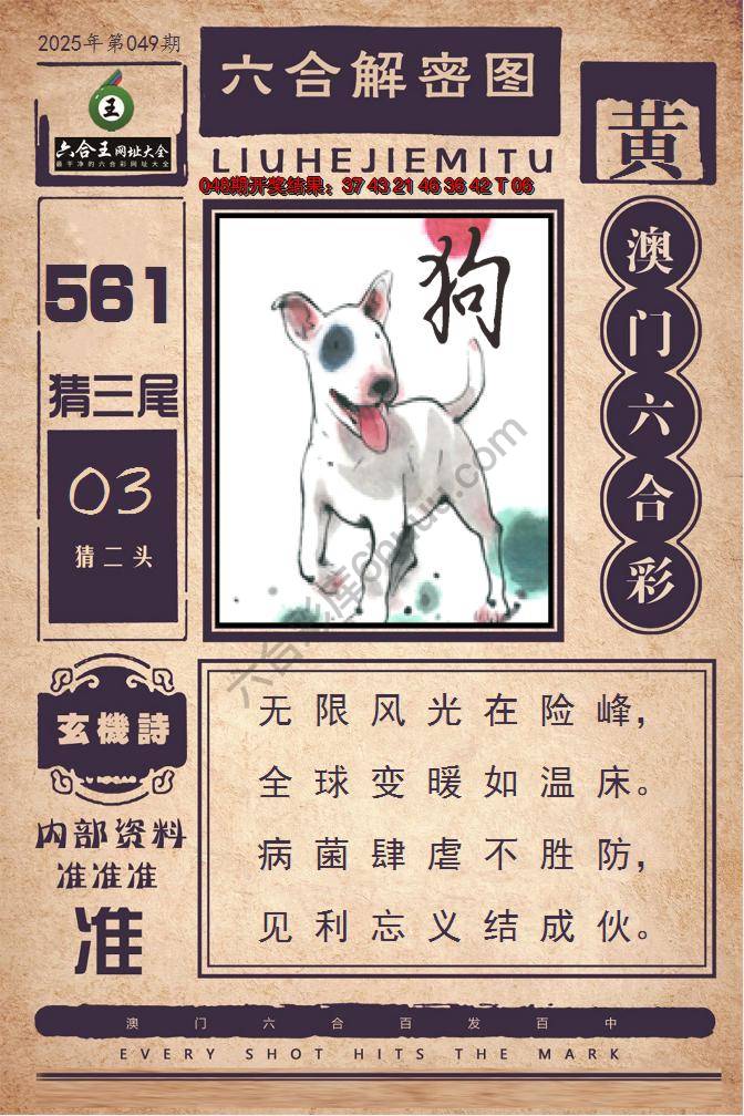 六合王六合解密