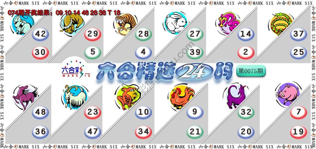 六合精选24码