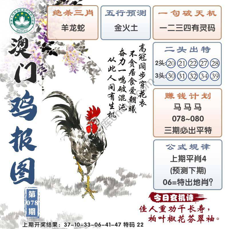 澳门鸡报图