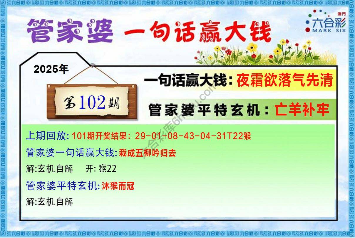 管家婆一句赢大钱