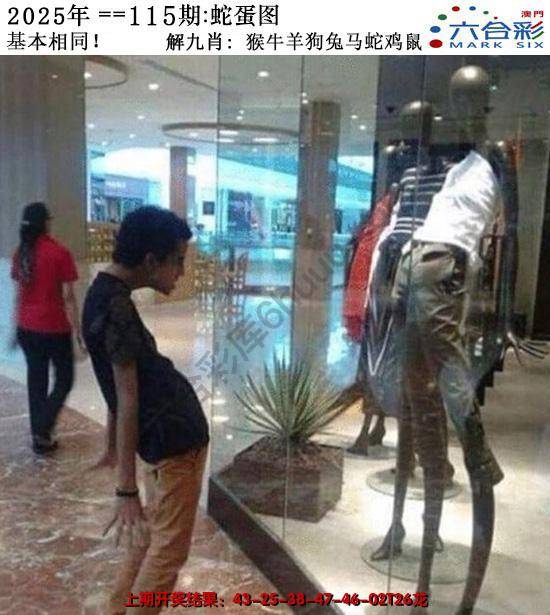 正版蛇蛋图