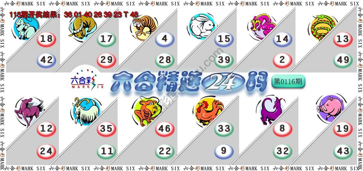 六合精选24码