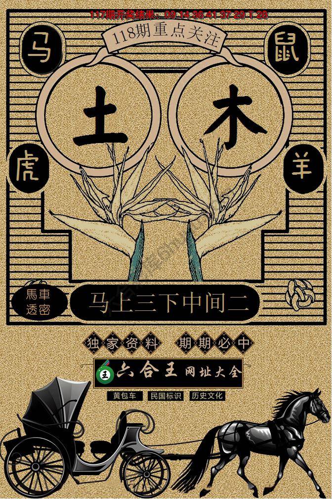 六合王马车透密