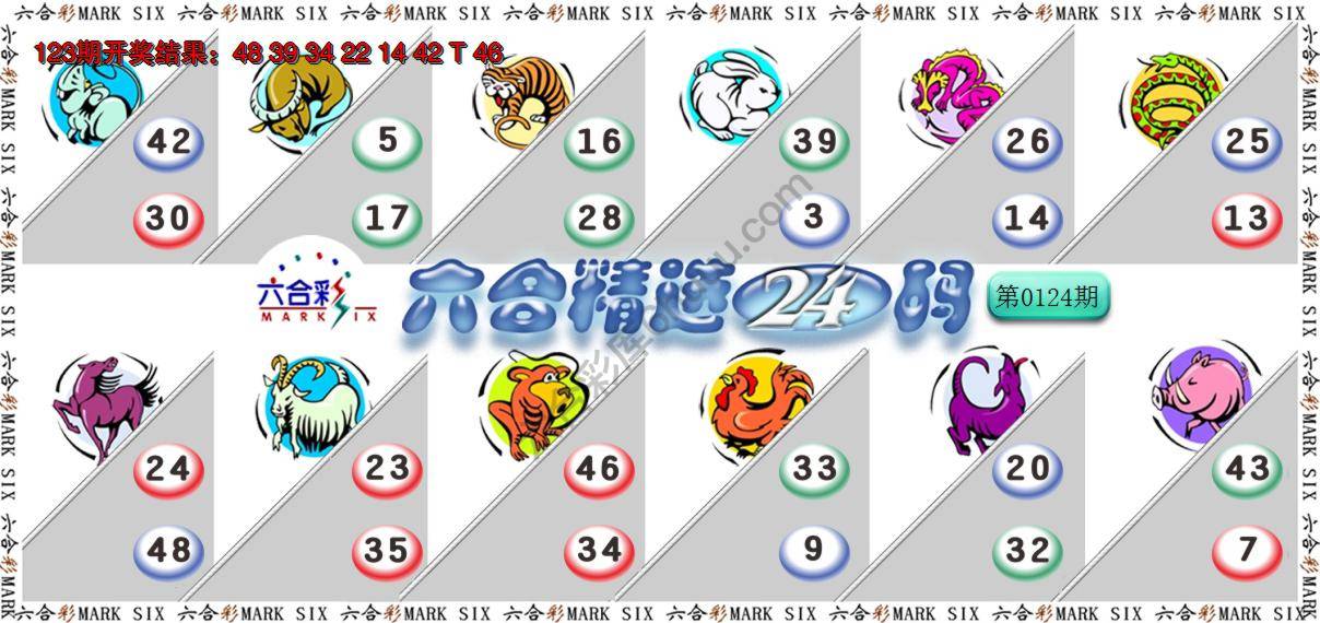 六合精选24码