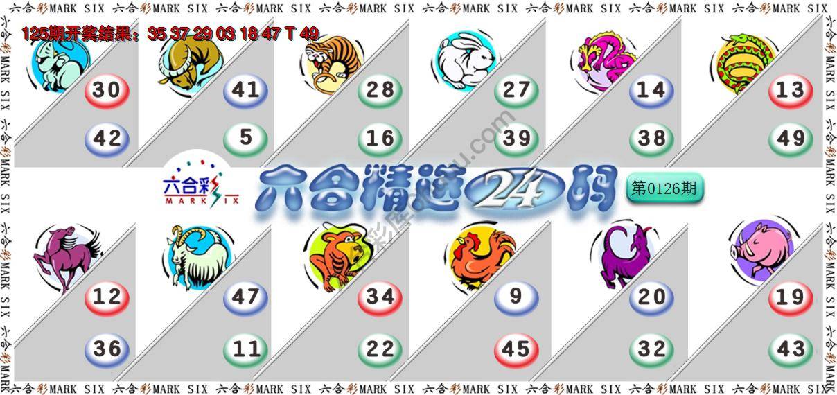 六合精选24码