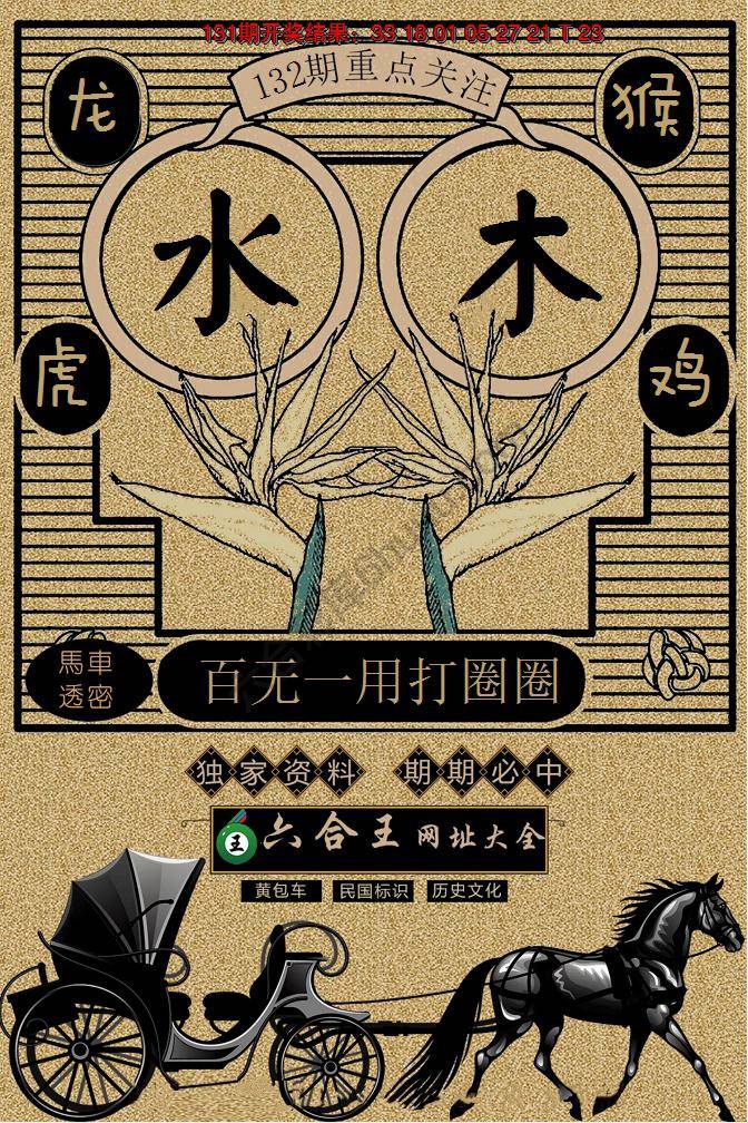 六合王马车透密