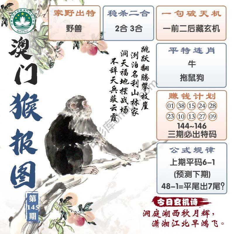 澳门猴报图