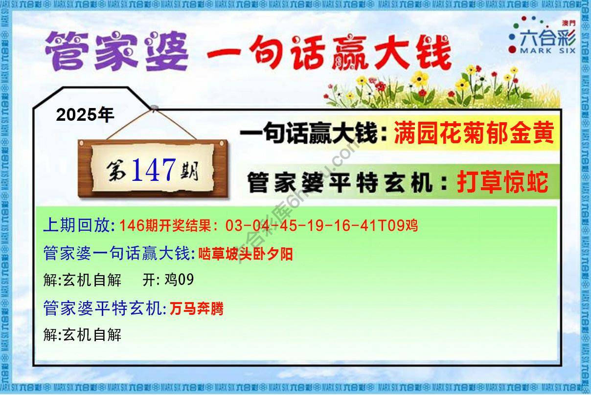 管家婆一句赢大钱
