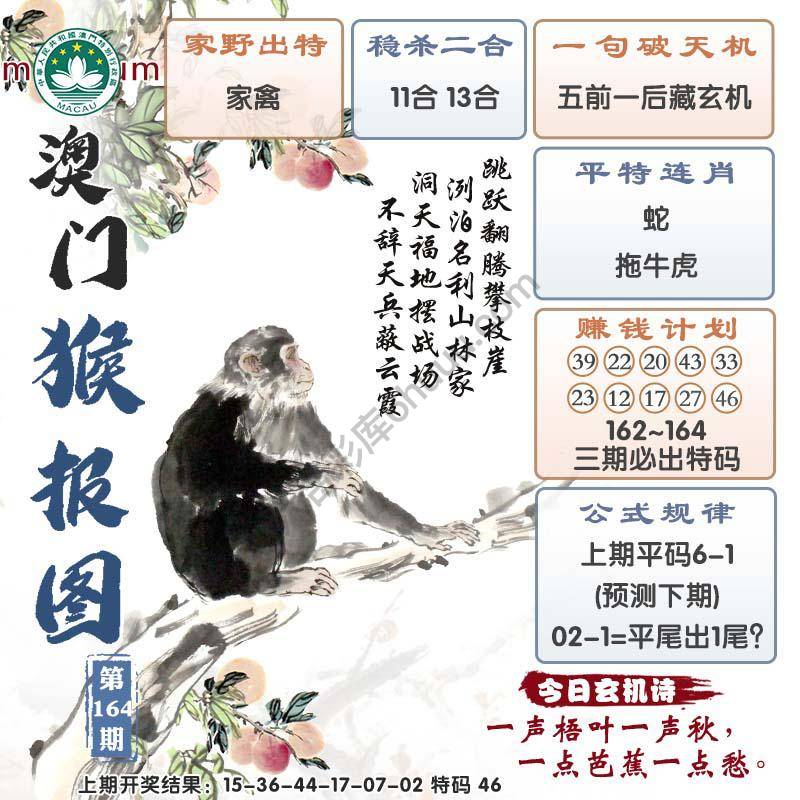 澳门猴报图