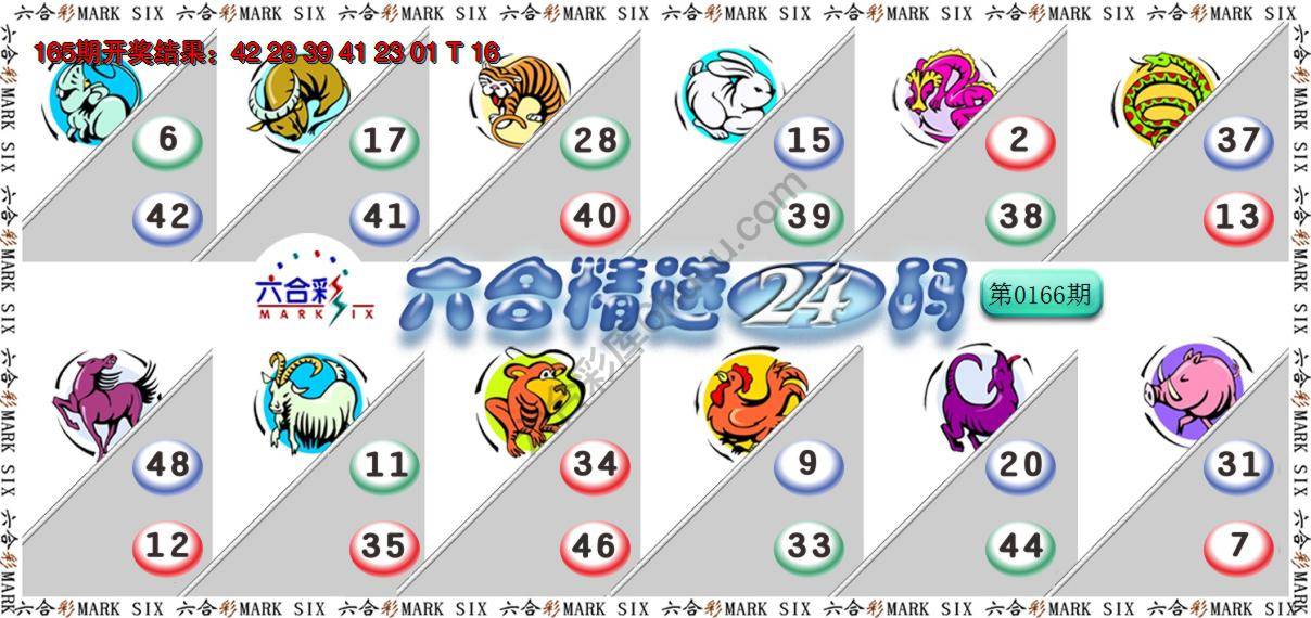 六合精选24码