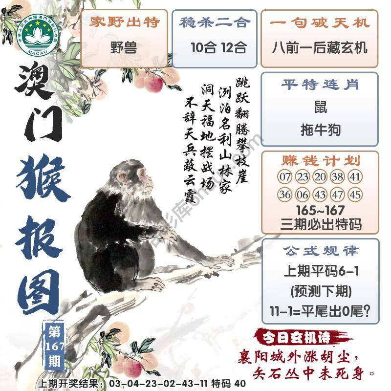 澳门猴报图