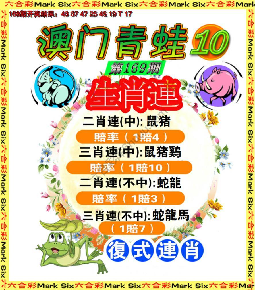 青蛙系列10