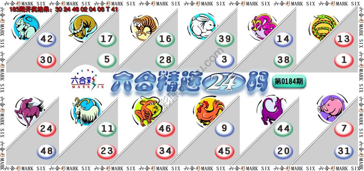 六合精选24码