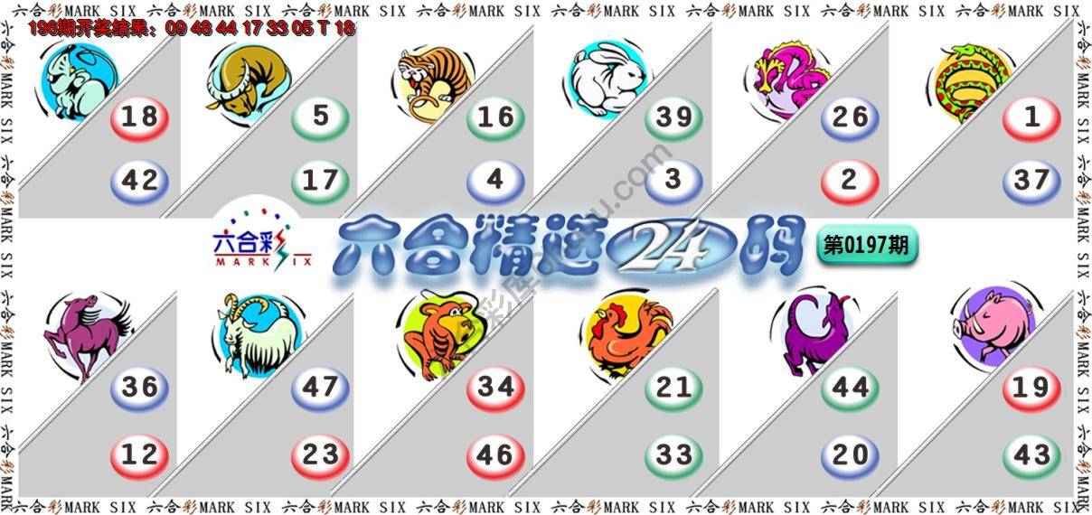 六合精选24码
