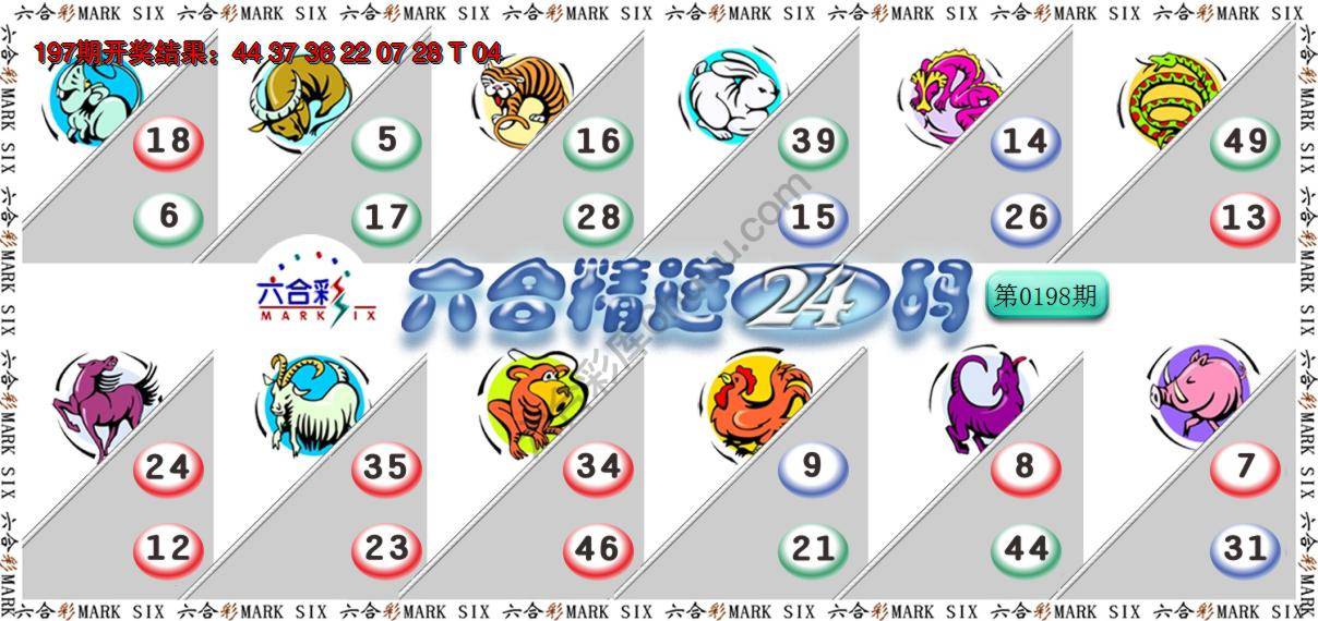 六合精选24码