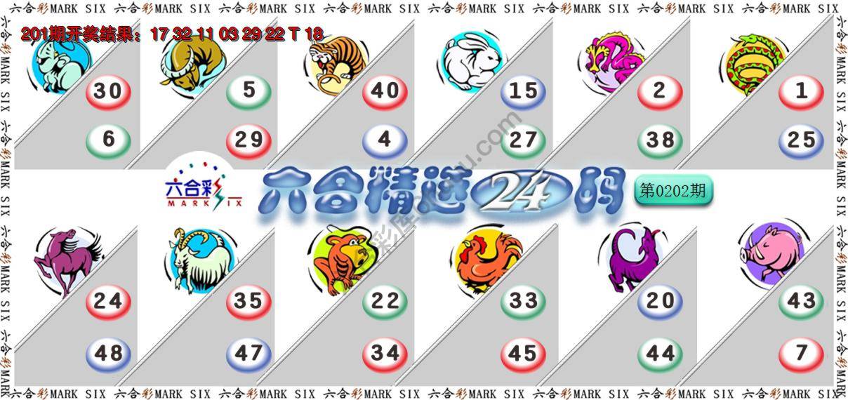 六合精选24码
