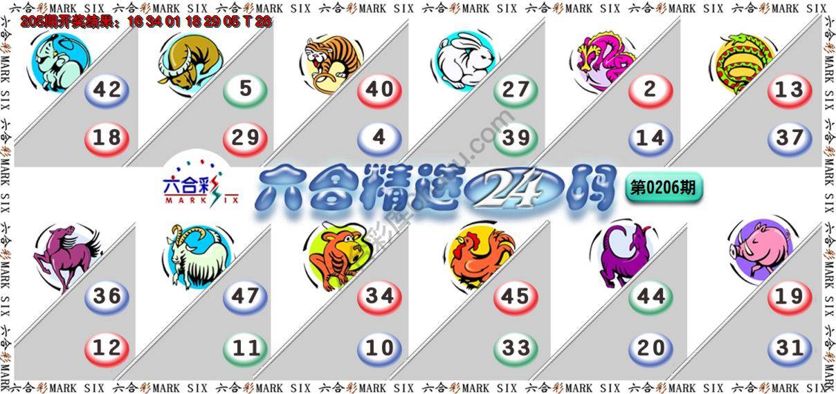 六合精选24码