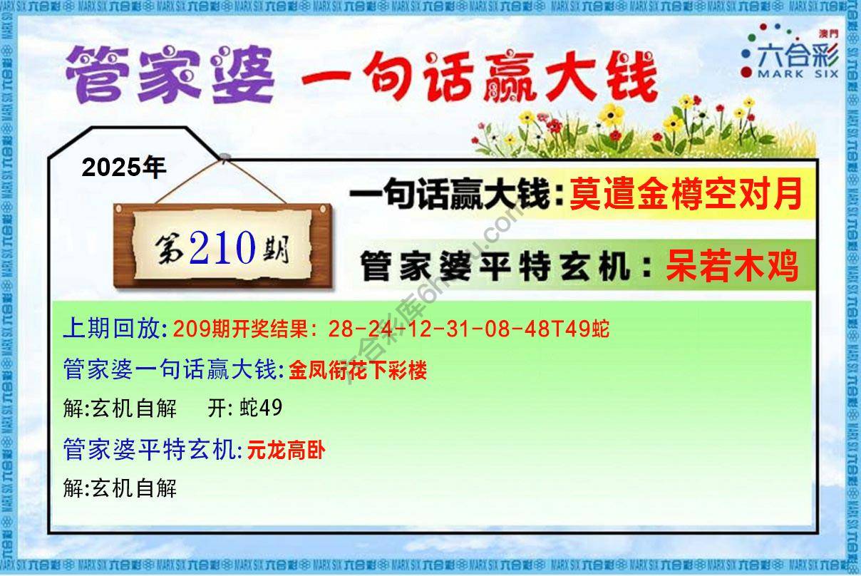 管家婆一句赢大钱