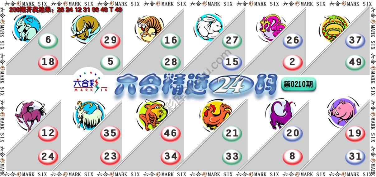 六合精选24码