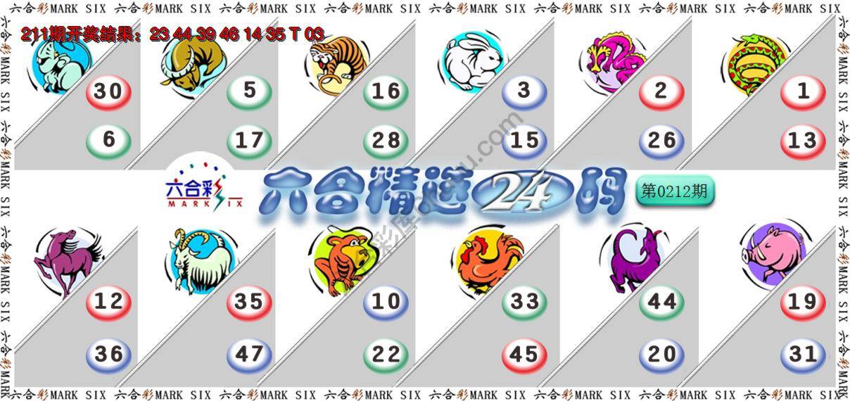 六合精选24码