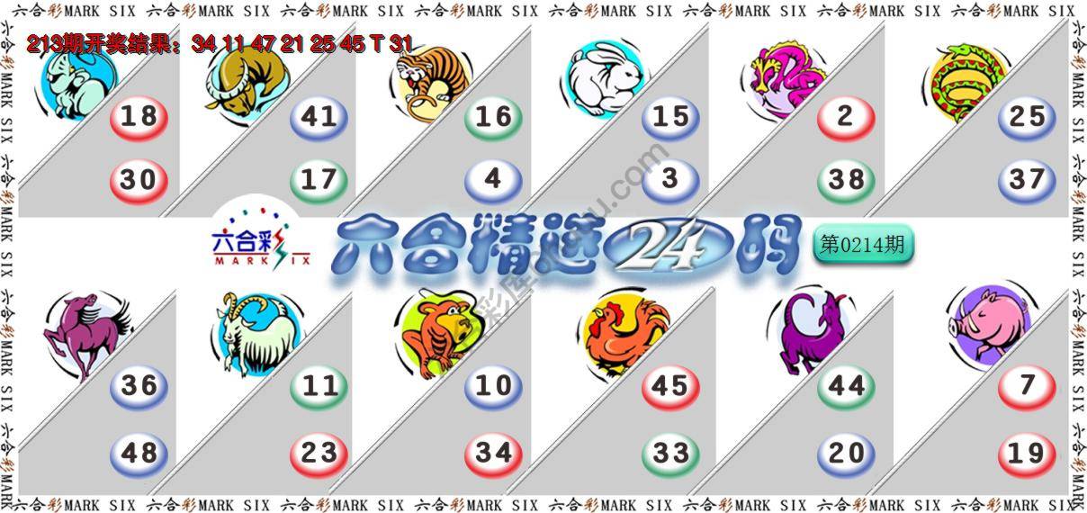 六合精选24码