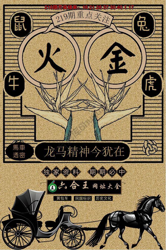 六合王马车透密