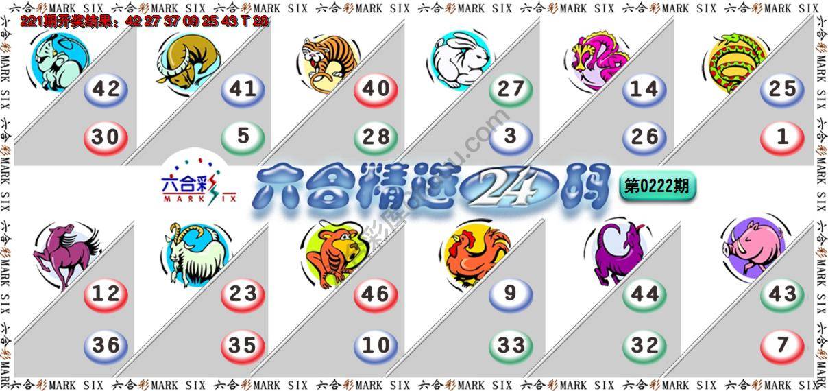 六合精选24码