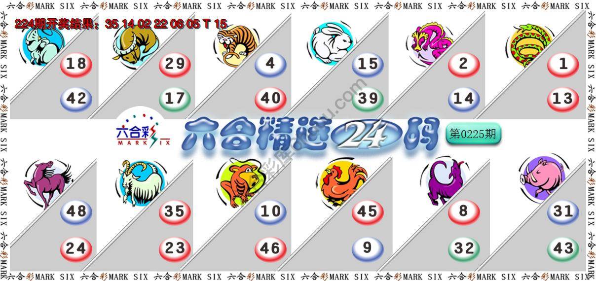 六合精选24码