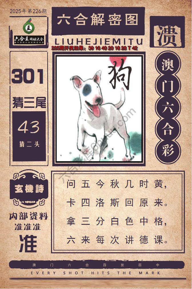 六合王六合解密