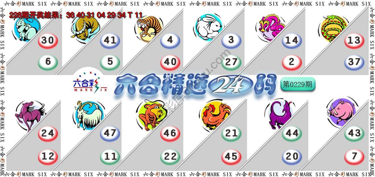 六合精选24码