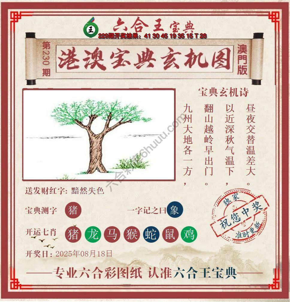 六合王港澳宝典玄机图