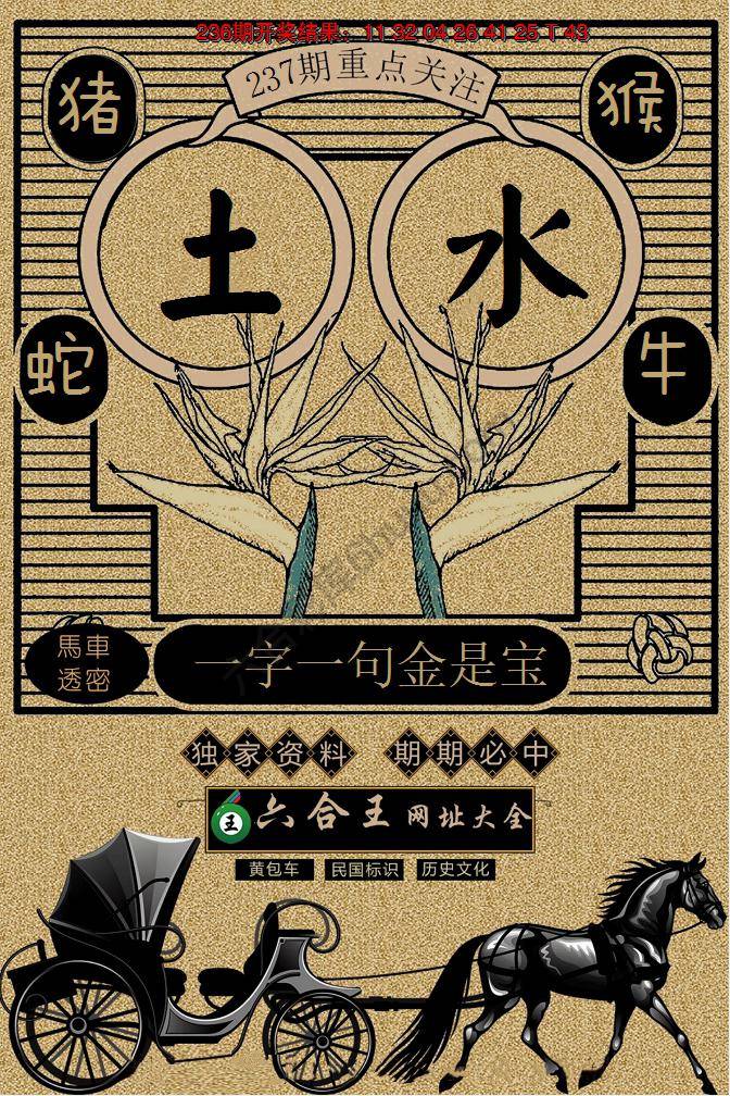 六合王马车透密