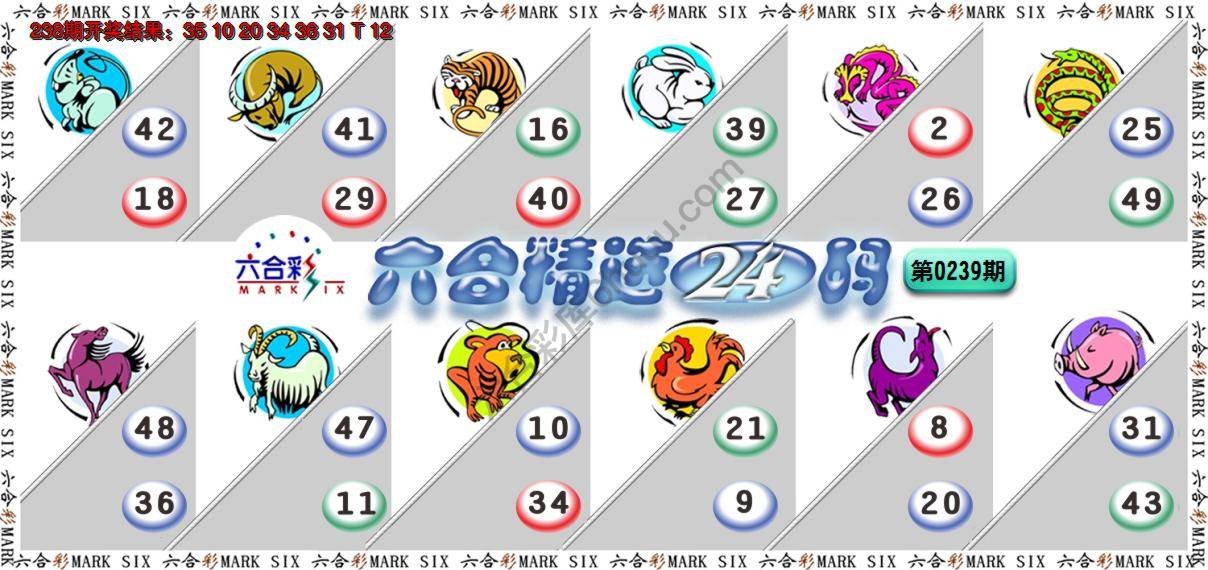 六合精选24码
