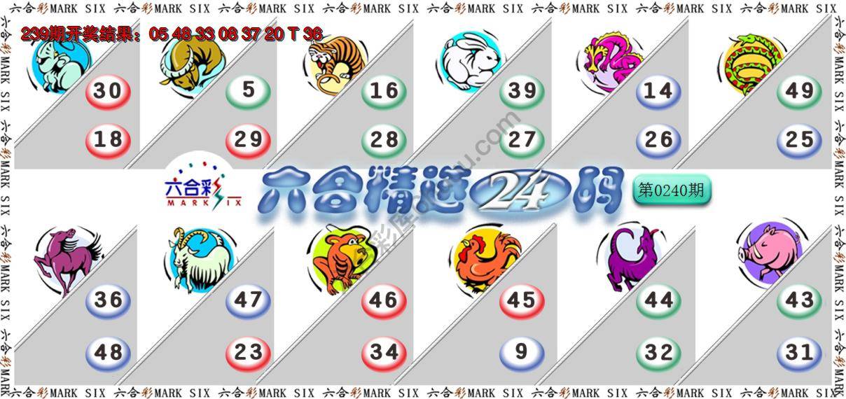 六合精选24码